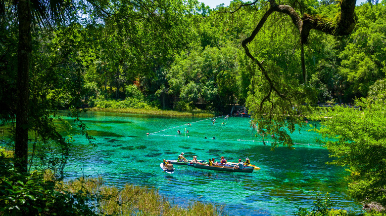 People canoeing in Rainbow Springs State Park