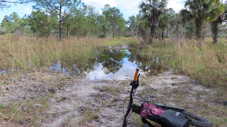 Mountain bike on a dirt road