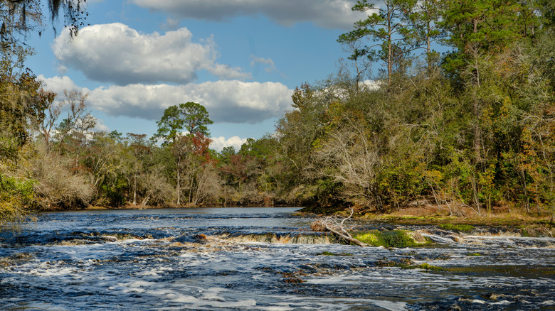 Flowing waters of a river over rocks