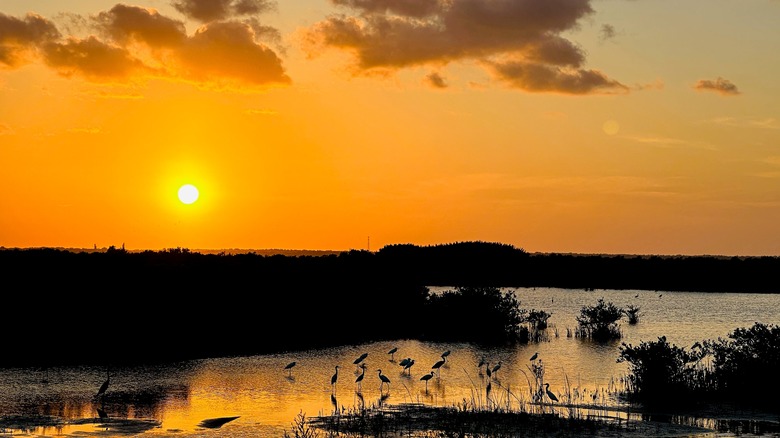 Sunset along the Canaveral National Seashore