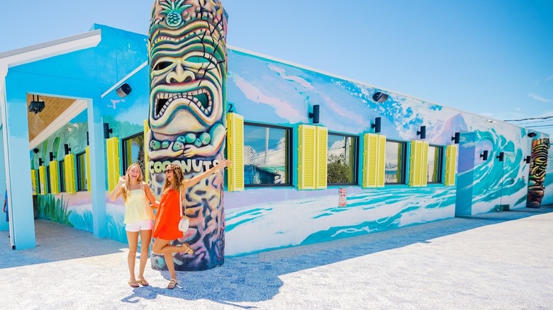 Coconuts on the Beach