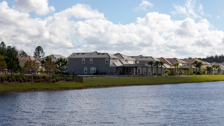 Suburban development on the shores of the water in Odessa, Florida