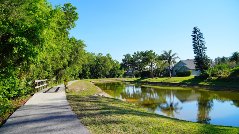 A tranquil waterside residential path in Wesley Chapel