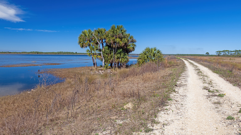 Levee side Conservation Levee Greenway Loop in Florida