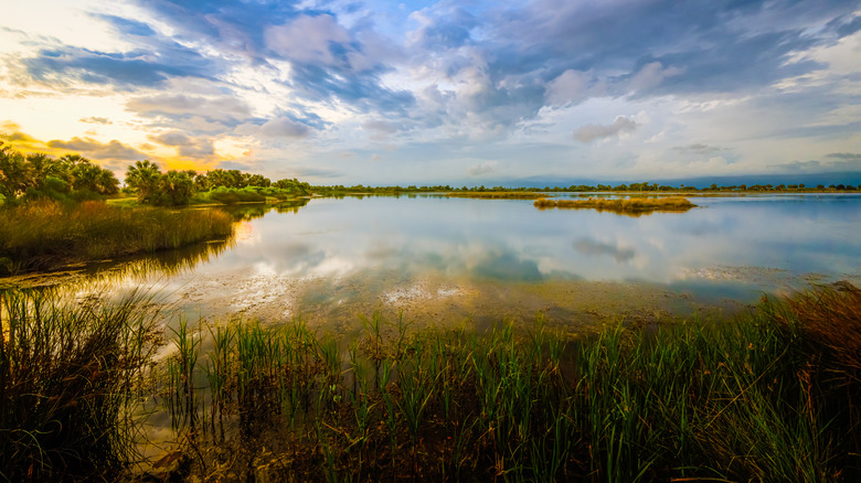 St. Marks Wildlife Refuge, situated along the Florida Trail