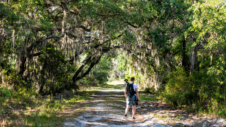 Man hiking on a Florida trail