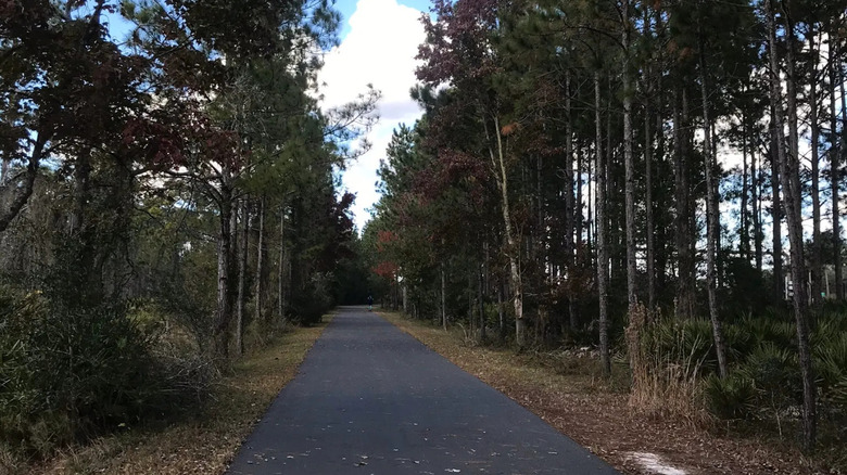 Paved Suncoast Parkway Trail in Florida