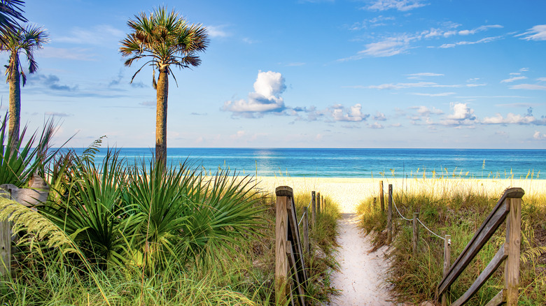 A Florida beach along the panhandle