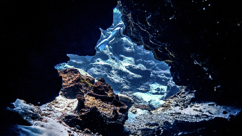 limestone caverns at ocala national forest