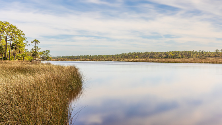matanzas river at faver-dykes state park