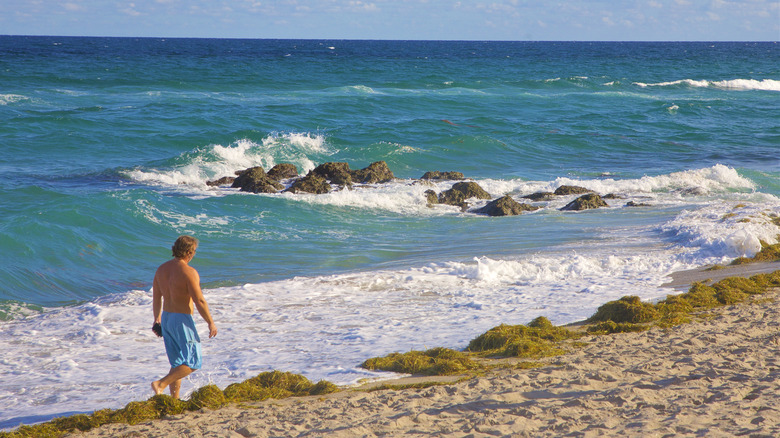 Man walking along the shoreline on sand beach at the oceanfront Red Reef Park, Boca Raton, Florida
