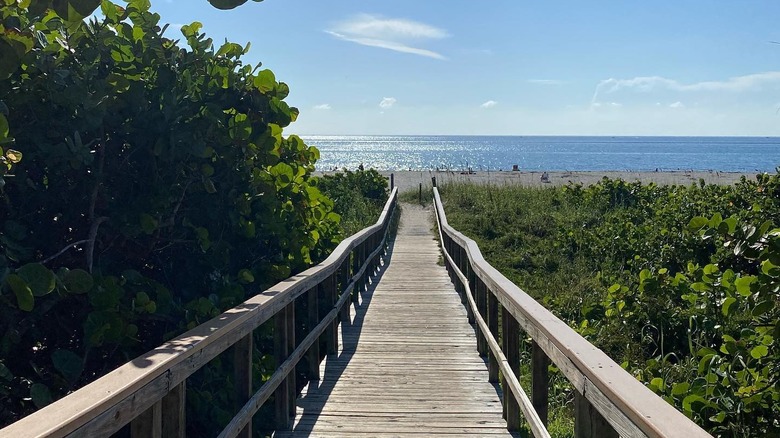 A boardwalk leading down to Ocean Ridge Hammock Park beach past green foliage