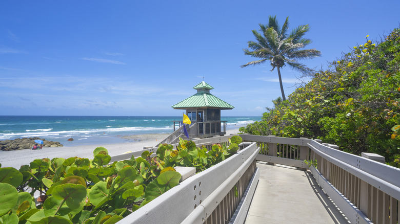 Boardwalk down to Red Reef Park beach with lifeguard tower, ocean, and white sand