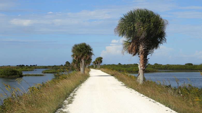 Coastal auto tour route at Merritt Island National Wildlife Refuge in Florida