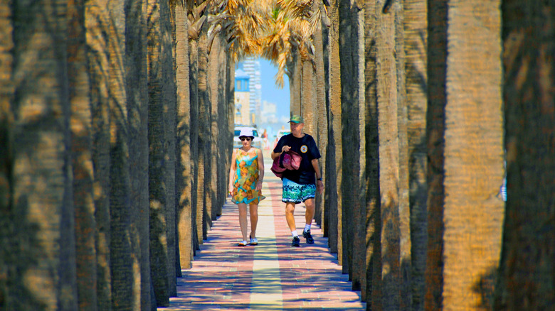 A senior couple walking among palm trees in Daytona Beach, Florida