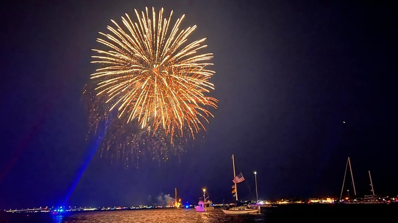 Fireworks over the bay