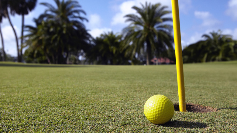 Up-close shot of golf ball by hole