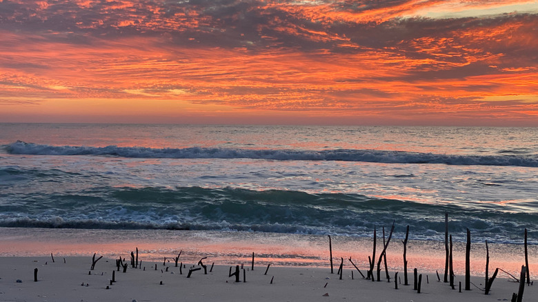 sunset at the beach in Yankeetown, Florida