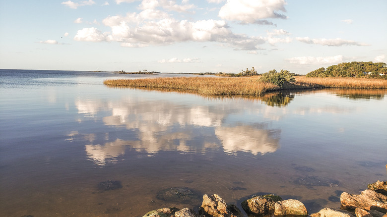 Bird Creek Beach in Yankeetown, Florida