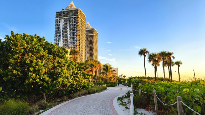 The pathway of the Miami Beach Boardwalk alongside skyscrapers and palm trees
