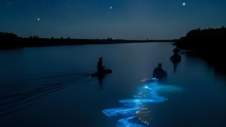 Kayakers at night on the Indian River Lagoon, FL
