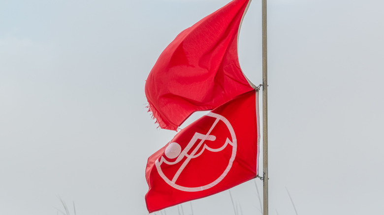 Double red flags with a no-swimming symbol flapping in the wind at Panama City Beach.