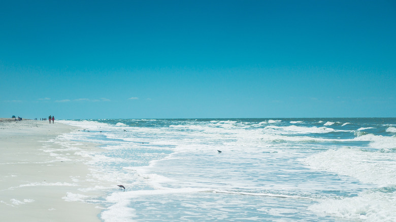 The white, sandy beaches of Pinellas County, Florida