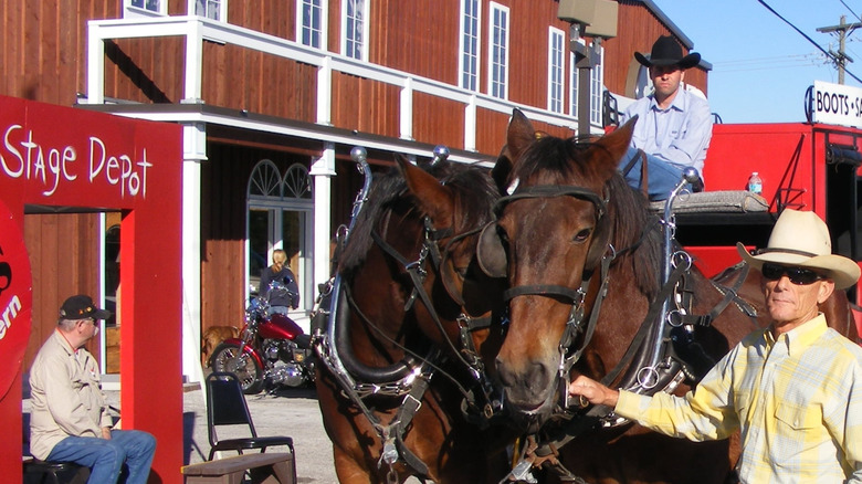 Horse-drawn carriage outside a Western-style building in Davie