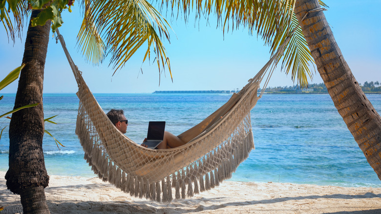 Guy working on laptop on hammock on Florida beach