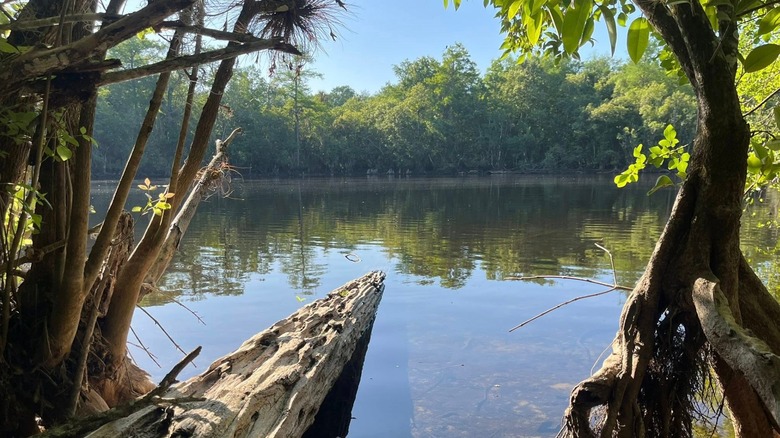 Deep Lake in South Florida