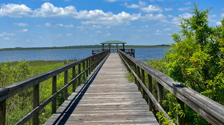 A boardwalk at Lake Tohopekaliga