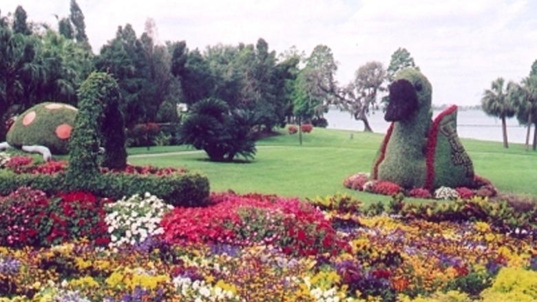 Duck-shaped topiary and flower beds at Cypress Gardens, Florida