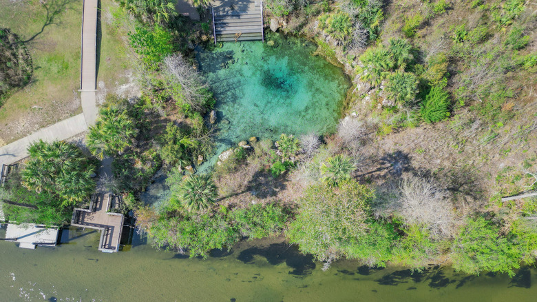 aerial view of natural spring next to a creek