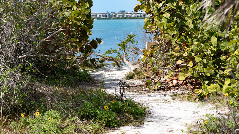 Scenic trail leading out to blue water at Cedar Point Environmental Park