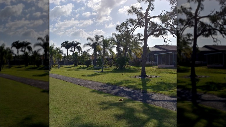 one of the golf courses managed by Rotonda Golf and Country Club in Rotonda West, Florida