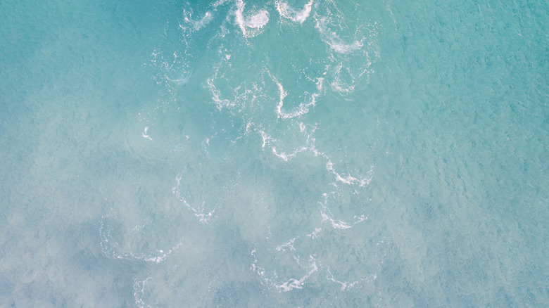 4 kayakers paddling in clear waters