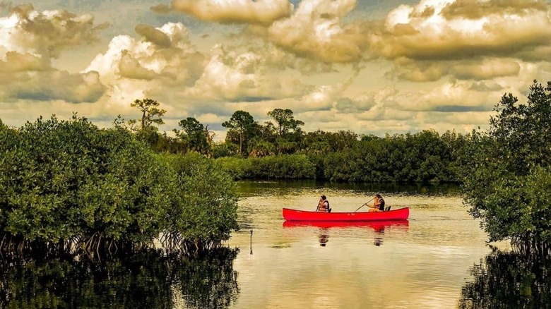 Two people paddle a canoe through Upper Tampa Bay Park near Oldsmar, FL.