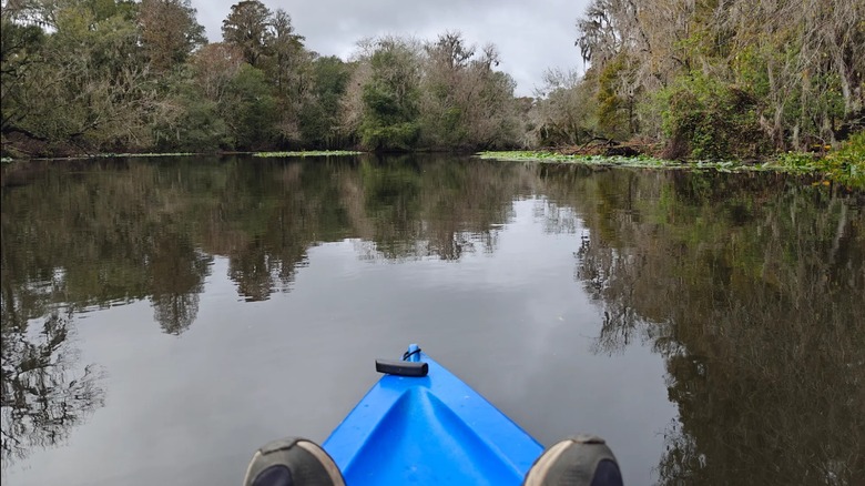 Paddling in Florida's Upper Tampa Bay Park
