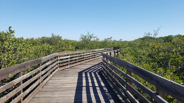 Boardwalk in Upper Tampa Bay Park, Florida