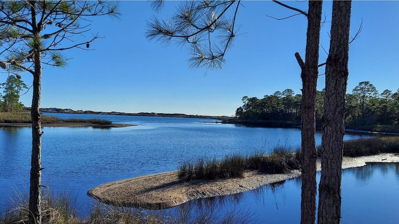 Coastal dune lake in Deer Lake State Park.