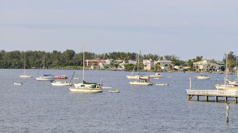 sailboats docked in Palma Sola Bay