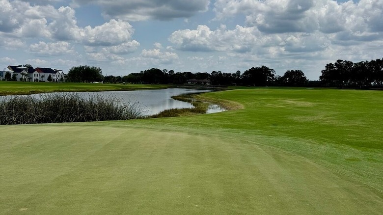Cypress Golf Course greens with water at Grand Cypress Golf