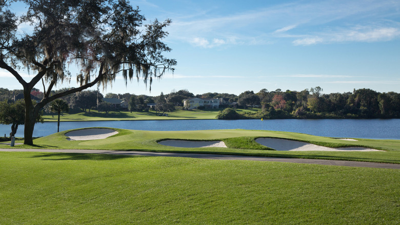 Golf course with water in background at Arnold Palmer's Bay Hill