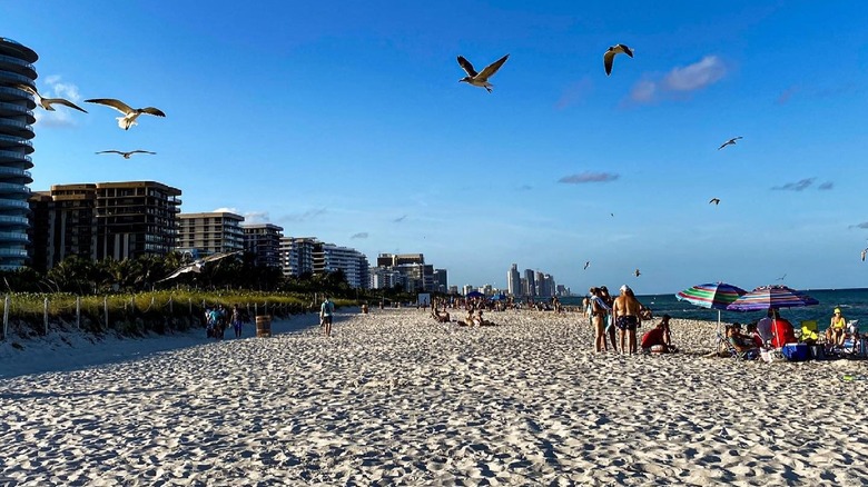 Picturesque view of the beach in North Beach Oceanside Park, Miami