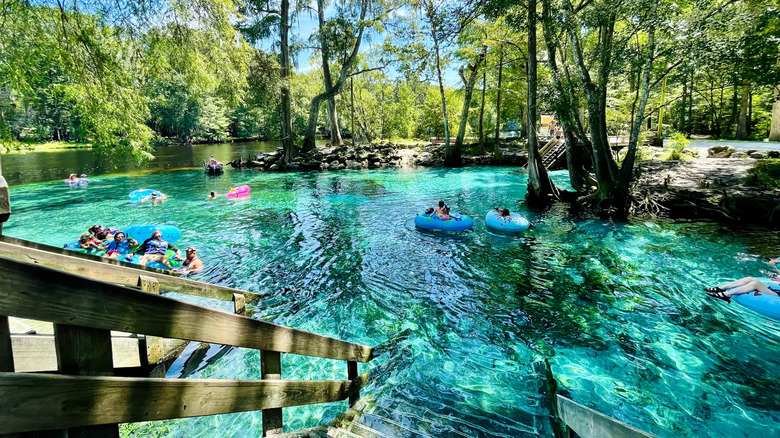 people in tubes at Ginnie Springs