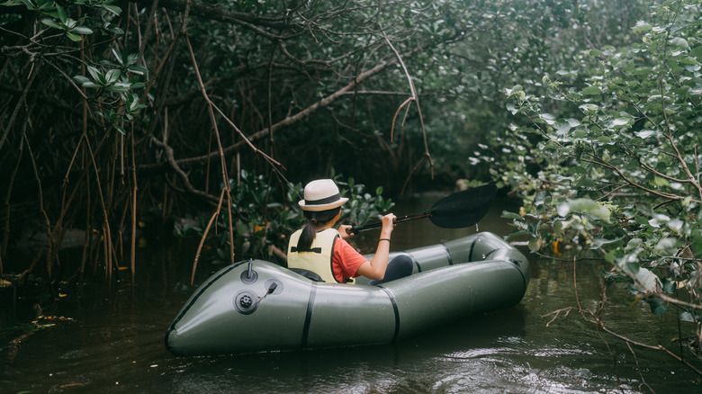 backcountry kayaking through mangrove forests