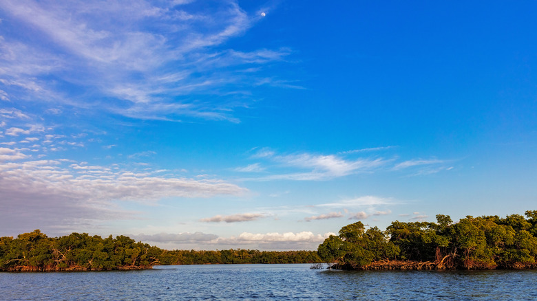 Mangrove islands at the Ten Thousand Islands National Wildlife Refuge