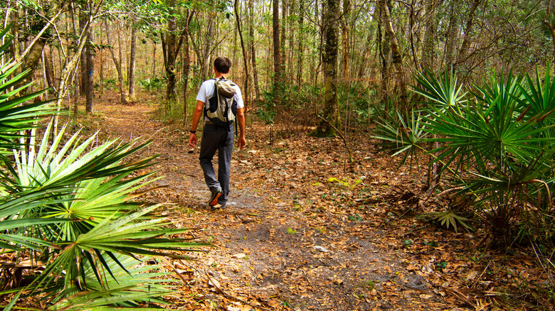 Hiker on Florida Panhandle park trail