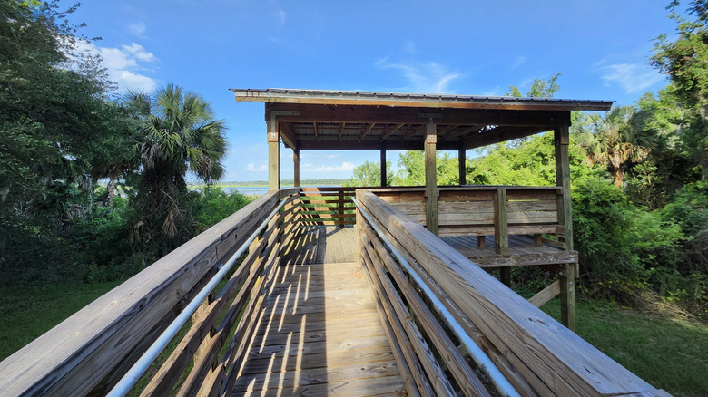 The observation point overlooking Orange Creek.