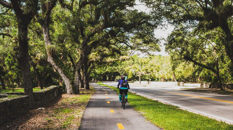 Old Cutler Road in South Florida runs partially along a Banyan tree-shaded, multi-use trail